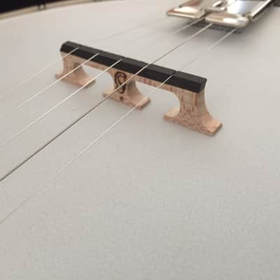 Recording King RK-35 Banjo image 4