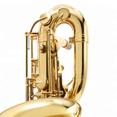 Eastman EBS453 Performance Low A Baritone Saxophone SN A2590393 image 12