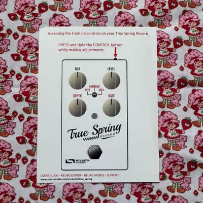 Source Audio True Spring Reverb 2018 - Grey image 11