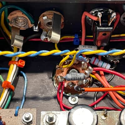 Dumble Overdrive Special with travel case image 25