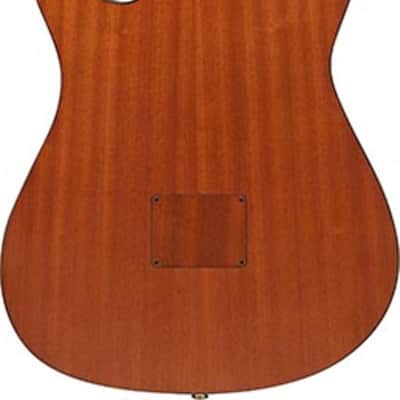 Ibanez FRH10N Thinline Acoustic-Electric Classical Guitar, Solid Spruce Top, Indigo Blue Metallic image 3
