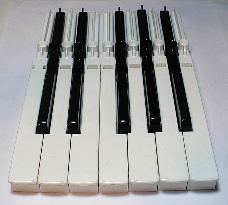 Magnus / Lot of 12 Magnus Chord Organ Replacement Keys image 1