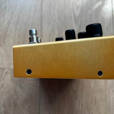 Meris Enzo X 2025 - Present - Gold image 7