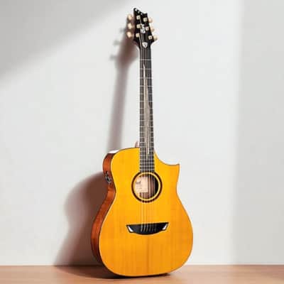 Cort Frank Gambale Signature LUXE II Acoustic-Electric w/Case, Video Demo, Fishman Flex Blend System image 2