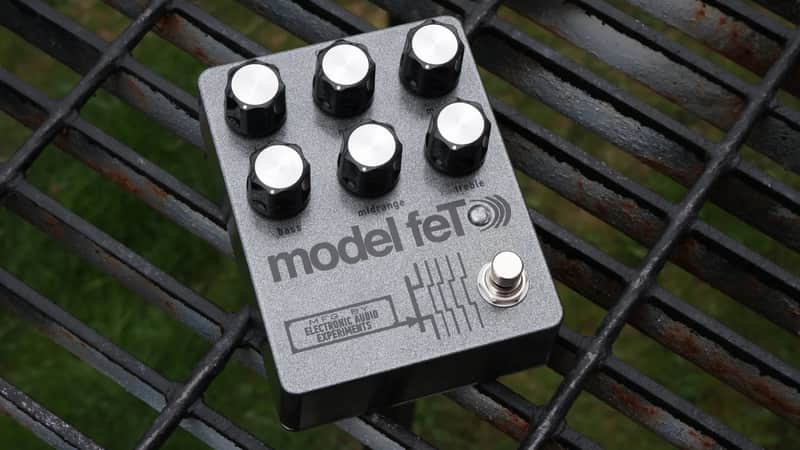 EAE Model feTEAE Model feT image 1