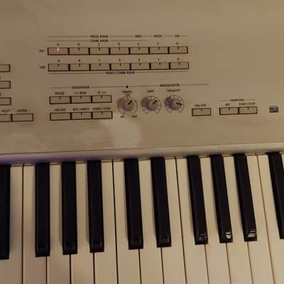 KORG Triton Studio SKB hard shell case image 5