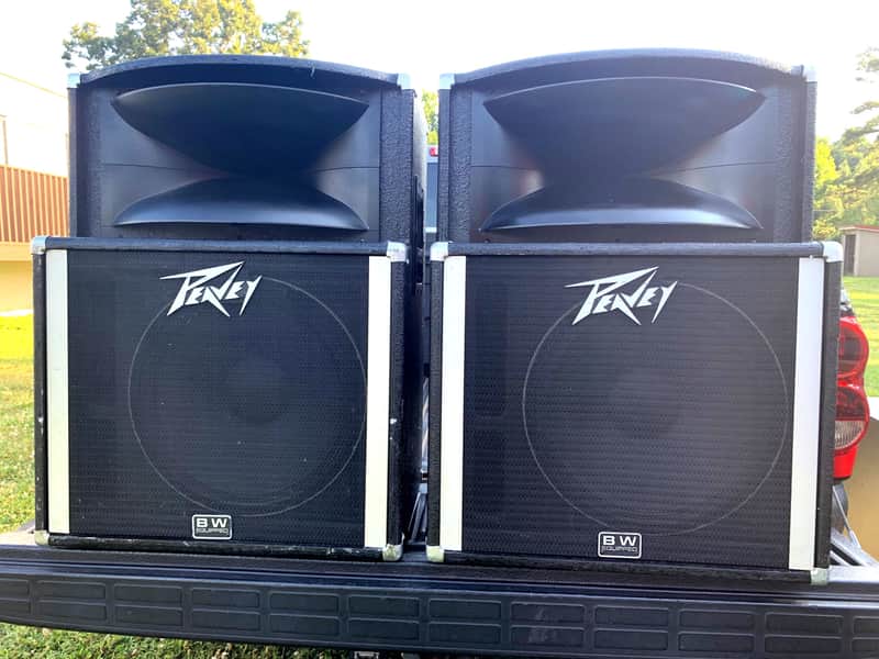 Peavey SP-2 Black Widow Full Range Speakers (pair) image 1