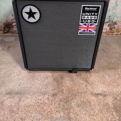 Acoustic Image Coda R Series IIa - perfect for upright bass, AC