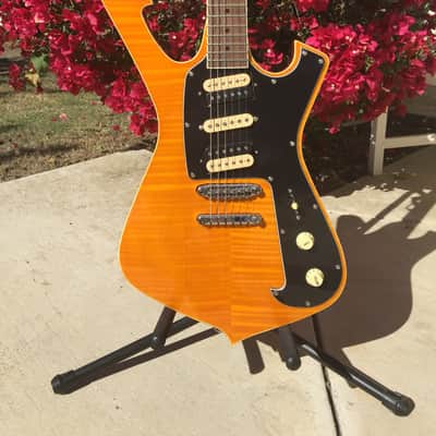 Ibanez FRM250 Paul Gilbert 25th Anniversary Limited Signature Electric Guitar image 3