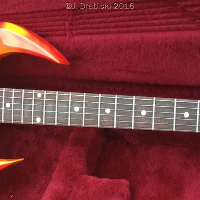 Rand (Haverner)/Tom Anderson (Doyle/Misfits) Annihilator 1989 Multicolor image 4