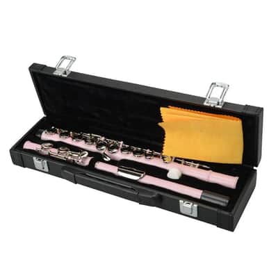 Cxxss Pink School Band Student 16 Hole C Flute Set With Case & Accessories Gift image 5