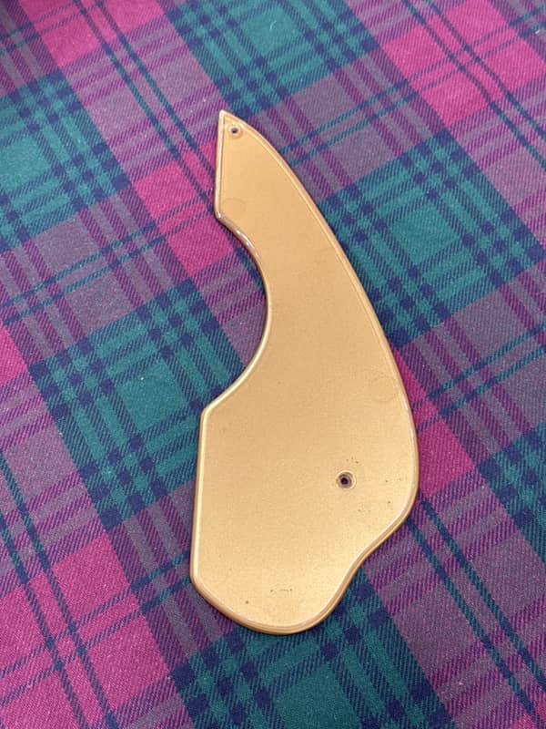 Fender Newporter 1965 - Gold image 1