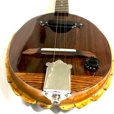 Turtle Shell acoustic/electric dulcimer guitar image 12