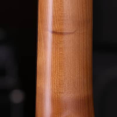 Dhatarattha DST SSS Black – Roasted Maple Neck, Stainless Steel Frets image 10