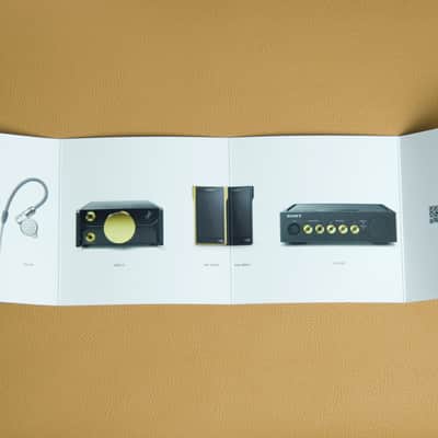 SONY NW-WM1A Signature Series Walkman / Hi-res Digital Audio Player (Japan Model) image 6
