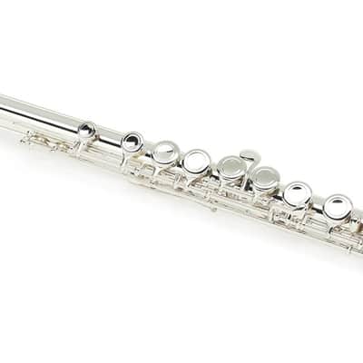 Di Zhao Flutes DZ 301 Student Flute with Offset G image 1