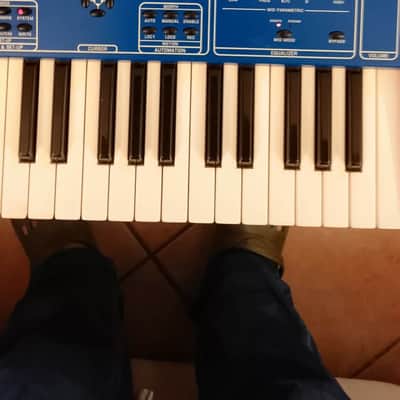 Oberheim OB-12 49-Key 12-Voice Synthesizer with last firmware image 3