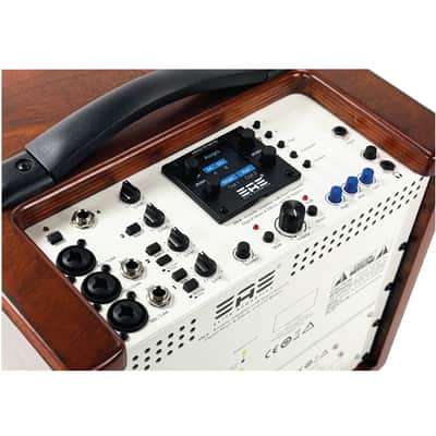 Elite Acoustics EAE D4-8 (OPEN BOX) Rechargeable Acoustic Amp with 4 Chan Digital Mixer/LFP Battery - Wood image 7