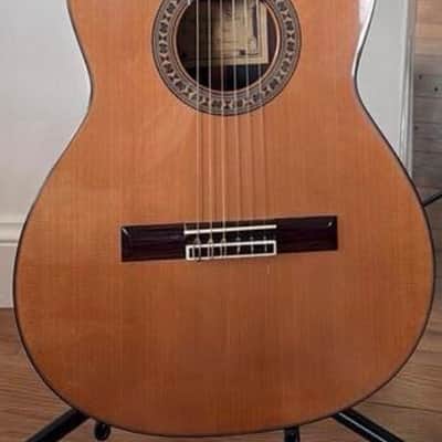 Gary E. Levinson LS-43 | Reverb