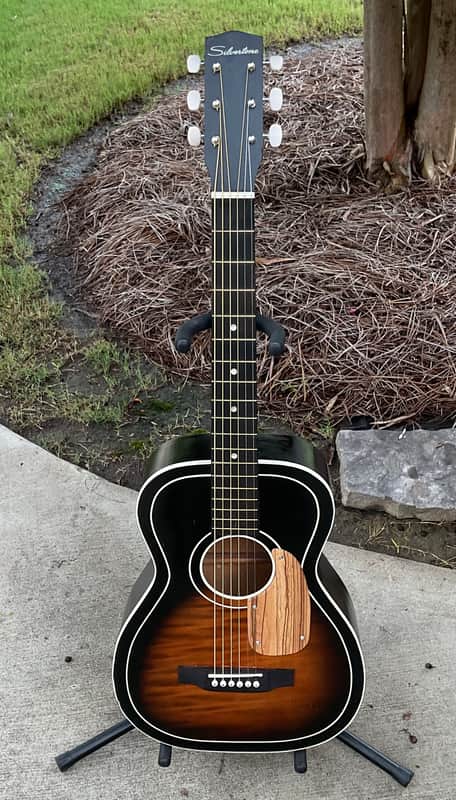 Silvertone 604 Custom Zebrawood -1966 image 1
