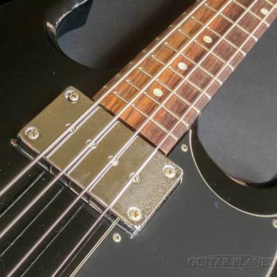 SG Standard Bass -Ebony- image 4