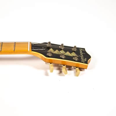 Hamburguitar Jerry Garcia Style Guitar Owned by Mike Campbell image 8