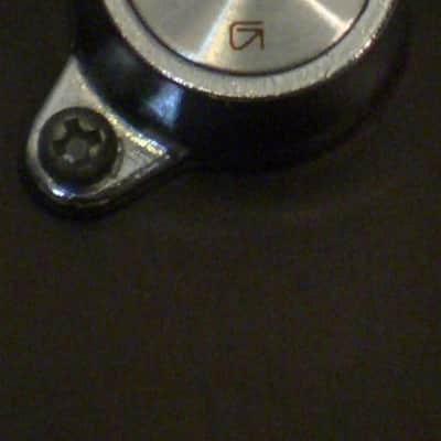 Fender F-240A and Levy's Cowboy Case F-240A 1980's - Gloss image 9