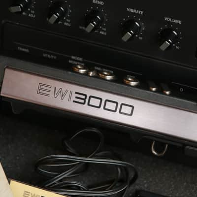 Akai EWI3000 w/ EWI3000m Analog Monophoinc Wind Synthesizer & Controller image 10