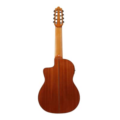 Ibanez GA3008CE Acoustic Electric Guitar with Hard Case (Natural High Gloss) image 2