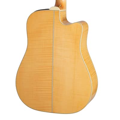 Takamine GD74CE-12ULH Left-Handed 12-String A/E Guitar w/Gig Bag - B-Stock image 7