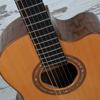 Manzer Baritone "Pat Metheny" image 17