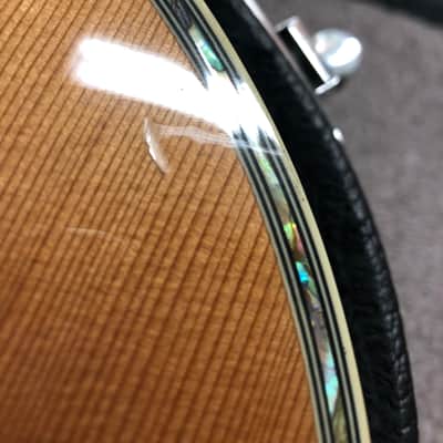Zager ZAD 80 EZ-PLAY Acoustic Guitar image 19