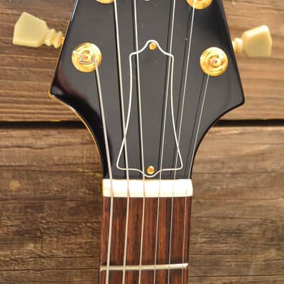 Hamer Vector Korina Flying V 2004 Natural image 8