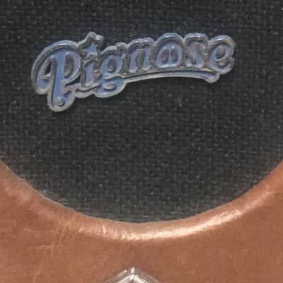 VINTAGE Pignose 7-100 Portable Amp ~ 1970s (1975/‘76) ~ Clapton/Zappa; (World’s First Portable Amp) image 11