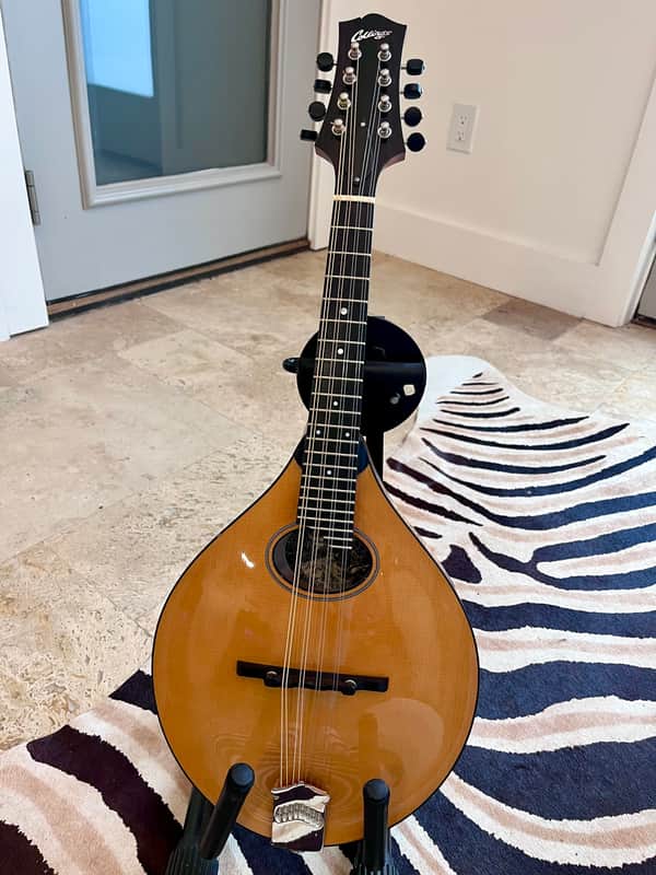 Collings MTO 2020 - Honey Amber Gloss top image 1