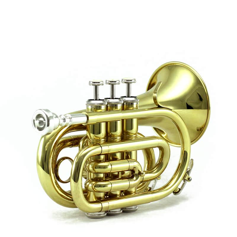 Sky Band Approved Gold Plated Brass Bb Pocket Trumpet with Case, Cloth, Gloves and Valve Oil image 1
