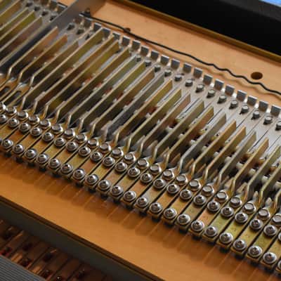 1972 Fender Rhodes MKI 73 Electric Stage Piano image 13