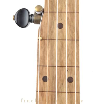 2019 PISGAH CUSTOM FLUSH FRET 5-STRING BANJO image 8