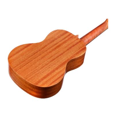 Protege by Cordoba U100CM Concert Ukulele image 7