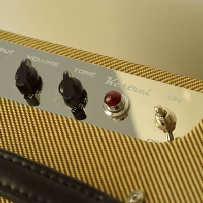 BirdSong - Tweed Champ / Princeton Clone - 10 Inch - Handmade image 3