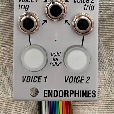 Endorphin.es Two of Cups Eurorack Synth Module 2021 - Present - Silver image 1