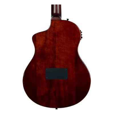 Ortega Guitars RTPSTD-NAT TourPlayer Series Thinline A/E Nylon image 7