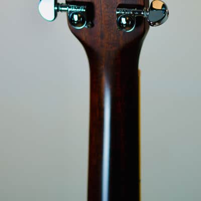 Washburn WD32SCE (2004) – Solid Sitka Spruce – Cutaway Acoustic-Electric – B-Band Pickup image 16