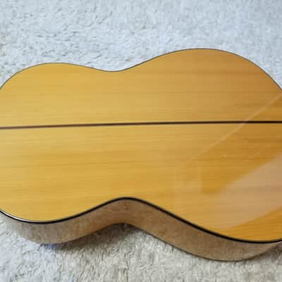 Aria Flamenco AC-150F (Spain) image 12