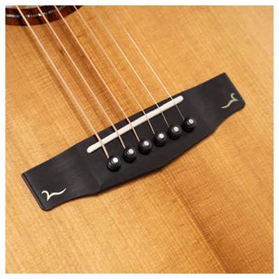 Cort GOLDA10 Cocobolo Grand Auditorium Body Walnut Reinforced Mahogany Neck Acoustic-Electric Guitar w/Hard Case image 5