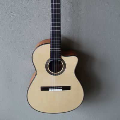 Brand New Cordoba Fusion 14 Maple Nylon String Acoustic/Electric Classical Guitar image 1
