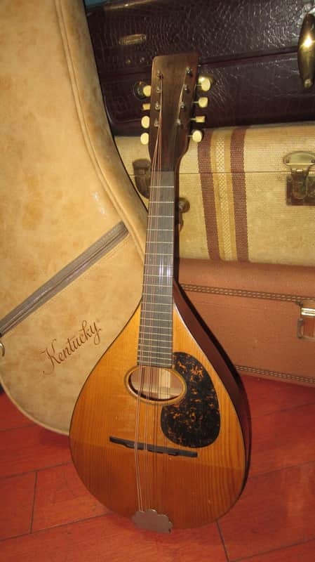 ~1920s SS Stewart Mandolin Natural image 1