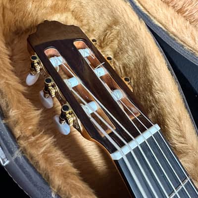 6 String Contrabass Guitar (Octave Bass) - Esteve PS75 - All Solid Wood/Cedar/Indian Rosewood - 750mm Scale Length image 17