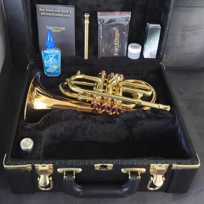 CarolBrass Pocket Flugelhorn / Taylor Phat Puppy 2024 - Polished / Lacquered image 21
