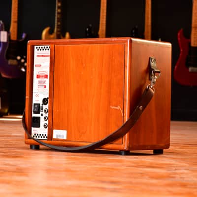 Ashdown Acoustic Radiator 1 100-Watt 1x8" Acoustic Guitar Combo Amplifier - Natural image 2